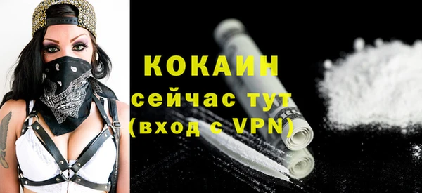 бошки Каменка