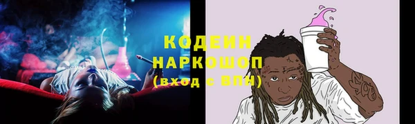 бошки Каменка