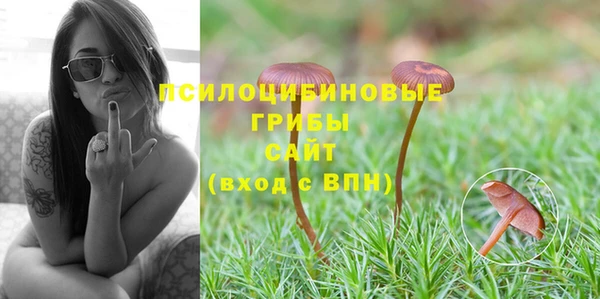 бошки Каменка