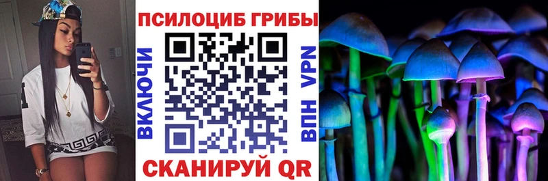 Псилоцибиновые грибы Cubensis Купить Пугачёв