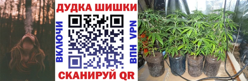 Купить закладки  Пугачёв  Марихуана сатива 